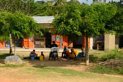 DSC_8106 (Large).JPG